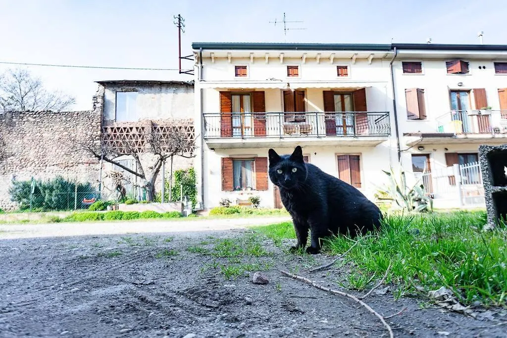 베로나 La Casa Di Otto In Fiera - Con Parcheggio! 아파트